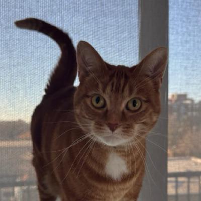 Nathan Sleeper avatar