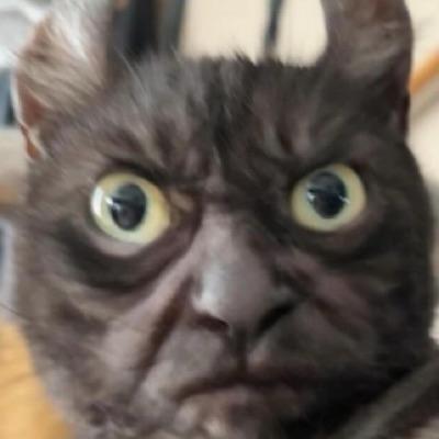 Smash or Pass team logo