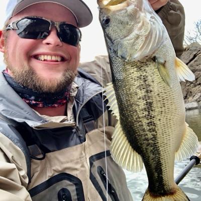 Show Me Your TD’s team logo