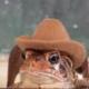 frogwithhat