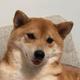sadieshiba