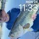 babydean22
