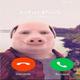 juanpork6776