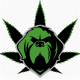 KommissionerKush