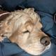 OldSleepy