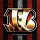 WhoDeyWhoDey91