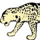 SouthLeopards