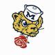detlions093