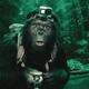 Th3Patsquatch