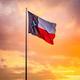LoneStarDynasty