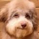 K1LLALLTORTAS