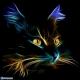 CATMODE