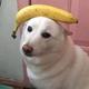 BananaFrags