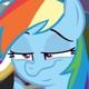 RainbowDash5