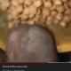 cocopuffscoconuts