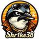 Shr1ke38 avatar