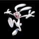 SillyRabbit80