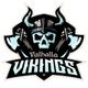 ValhallaVikings007