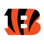 CIN logo