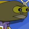 meme_fish_stare