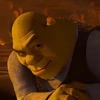 meme_shrek