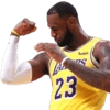 meme_nba_lebron_flex