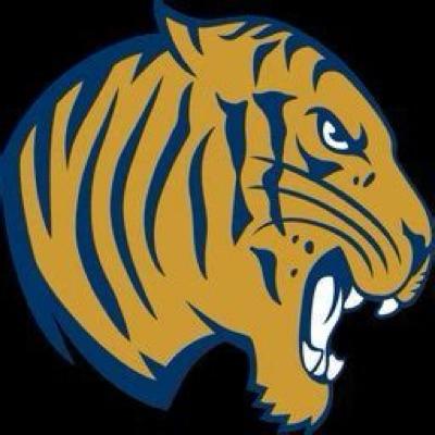 Team Logo